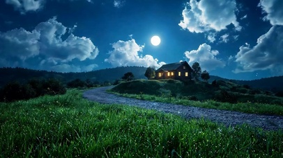 夜景树木房屋
