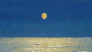 大海带鱼屏