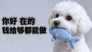 有钱好商量 小狗营业