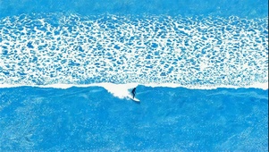 极简油画风 冲浪！