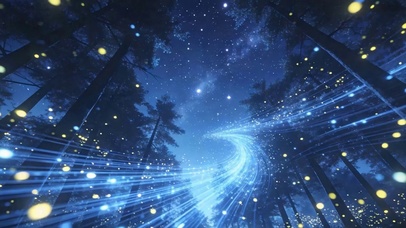 夜景树木