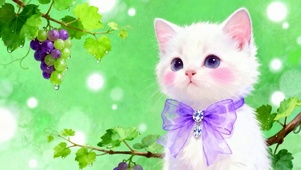 可爱猫咪