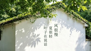 风很轻