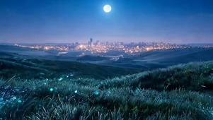 夜景花草树木带鱼屏