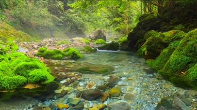 护眼清澈溪流