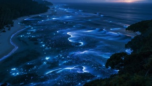 海浪