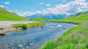 清新蓝河草甸治愈风景