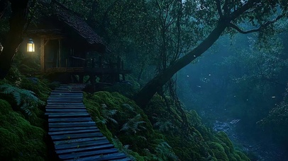 森林雨天
