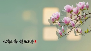 宁静玉兰