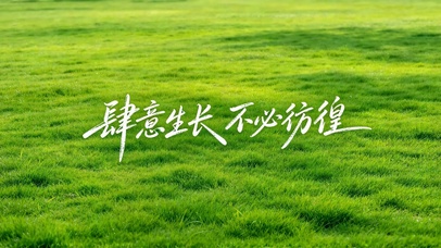 肆意生长不必彷徨清新草地