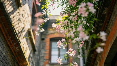 小清新鲜花