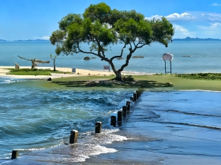 失约的海
