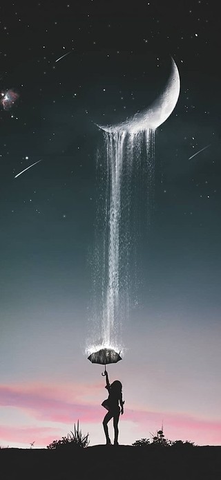 所念皆星河