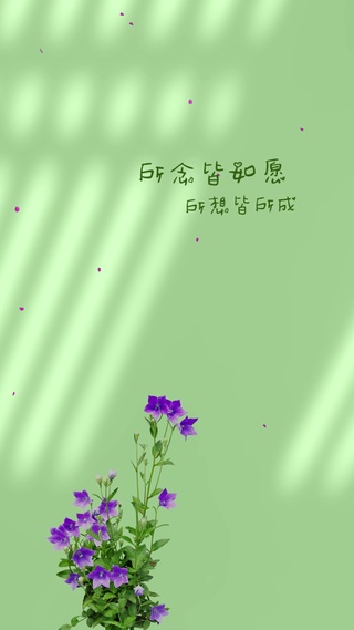 所求皆所愿
