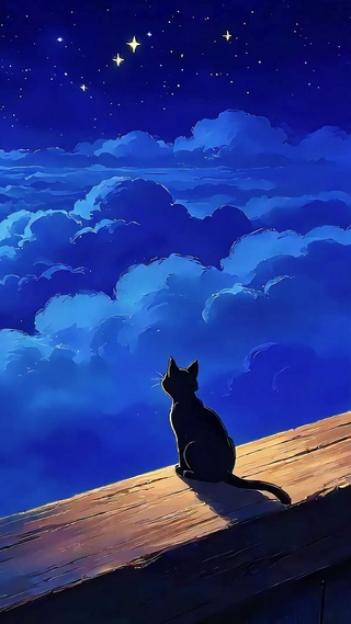 观云海的猫