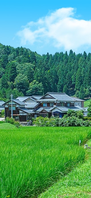 4K唯美治愈日系乡村田野
