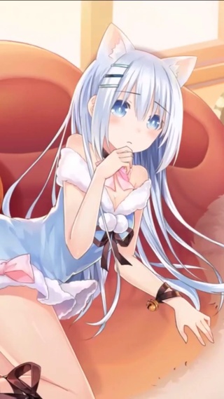 可爱性感猫娘少女楚楚动人