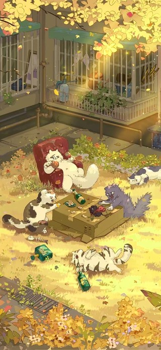 治愈可爱空地喝酒玩耍的小猫咪