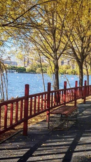 湖边落叶动态壁纸