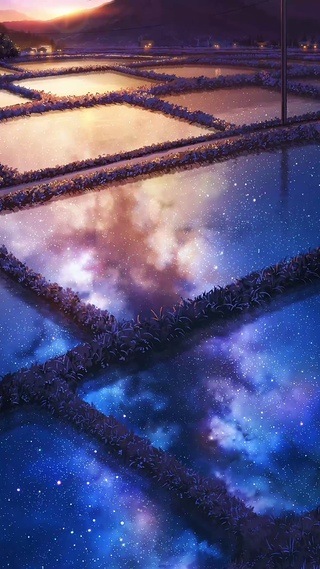 梦幻-星空稻田