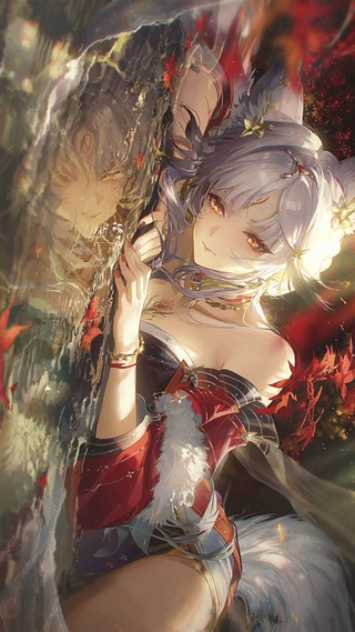 心月狐4