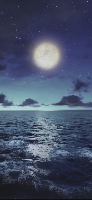 海.夜.