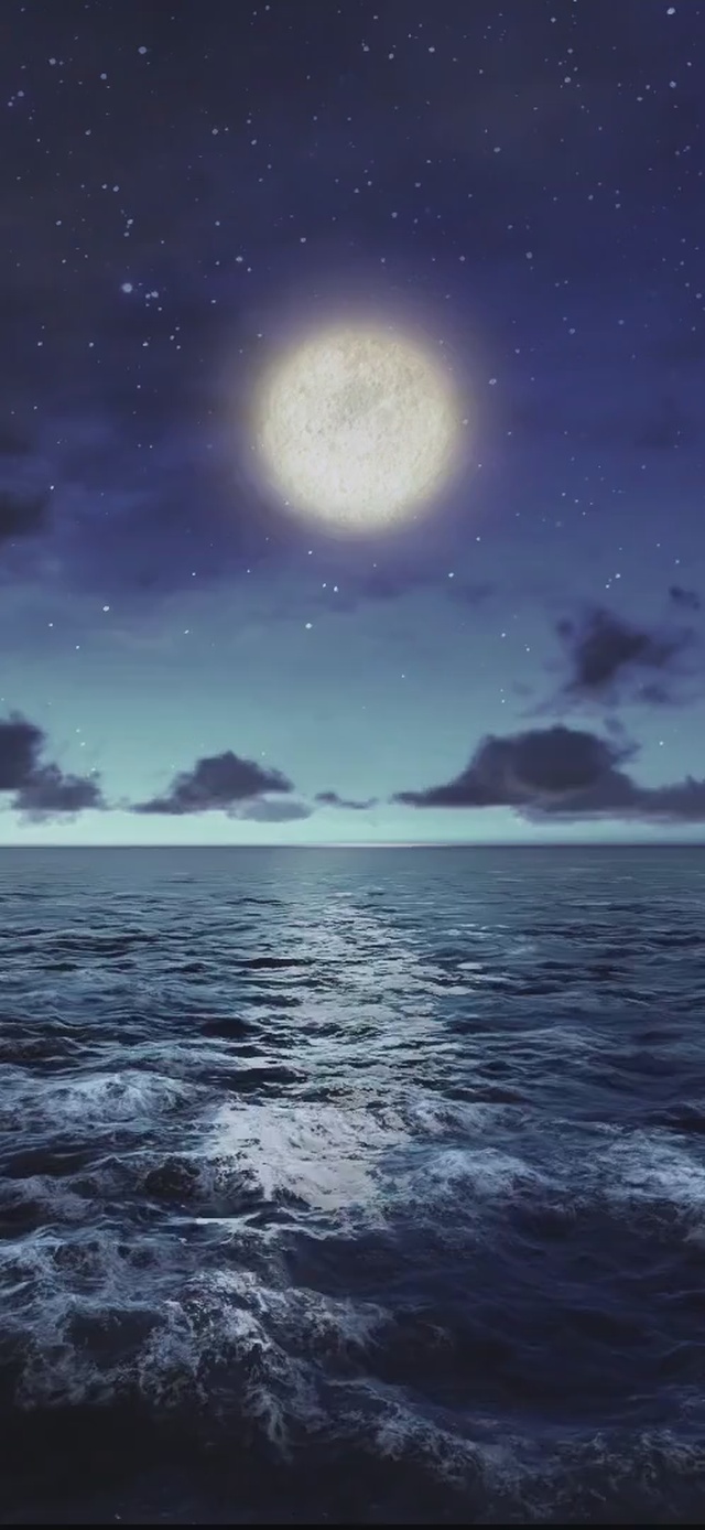 海.夜.