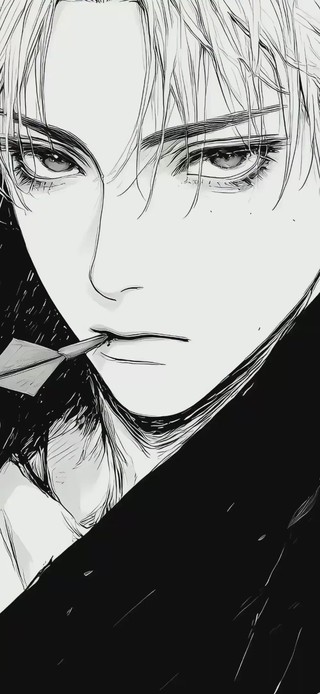 动漫男神