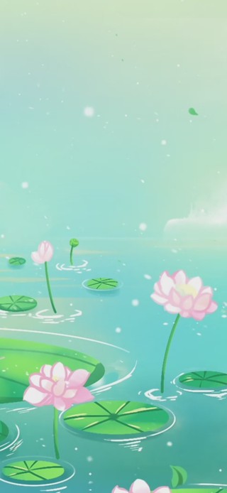 唯美荷花