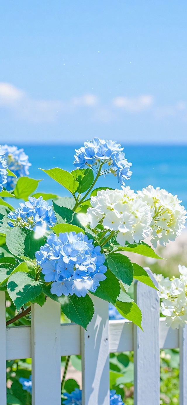 护眼海边风景绣球花