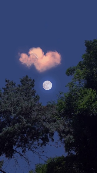 安静夜晚明月高悬