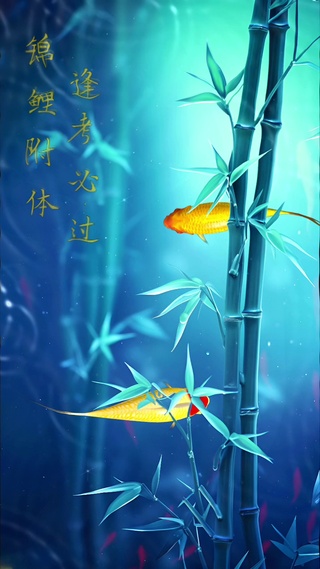 锦鲤附体