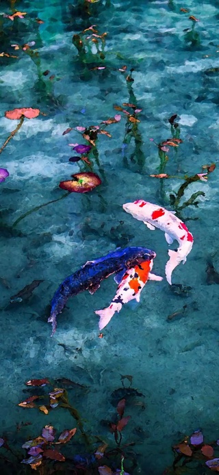 好运锦鲤（4K带时间）