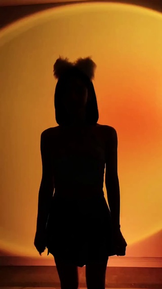 影子舞2