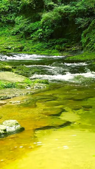 护眼清澈溪流