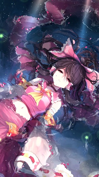 泡水灵梦 花——夜莺重置版