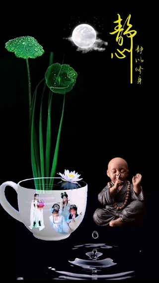 静心禅意
