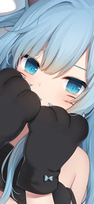猫羽