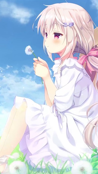 蒲公英的约定6