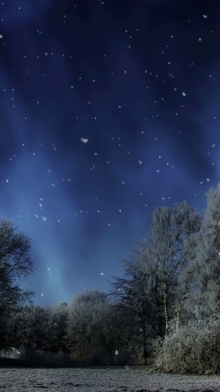 4K超清夜晚雪景