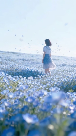 蓝色花海里的少女背影