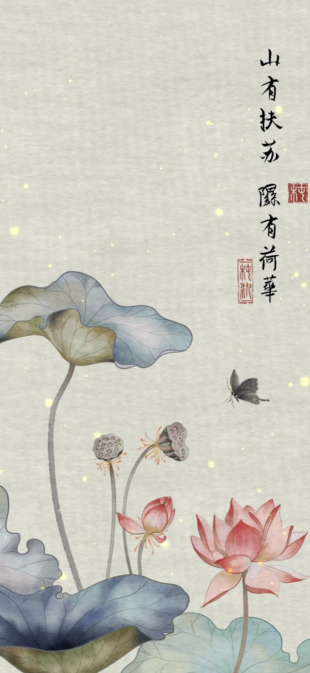 荷花千里，明月可依
