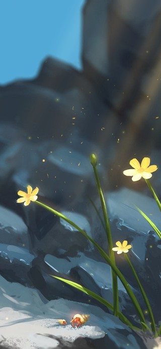 治愈清新海岸小雏菊