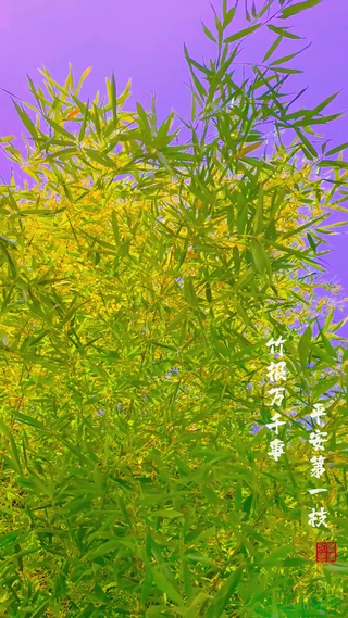 竹语