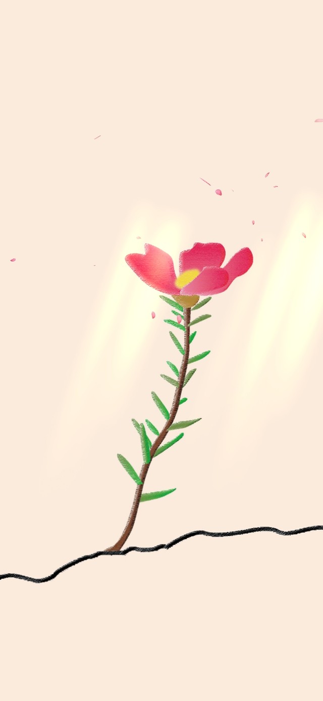 坚强的小花