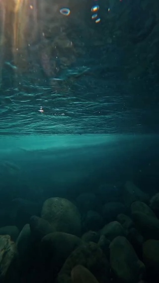 水底世界