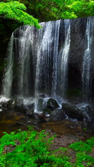 绿林清凉溪水瀑布