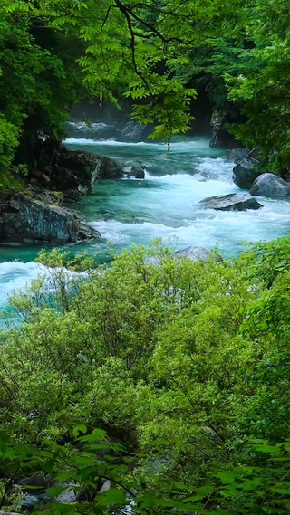 夏日溪谷溪流