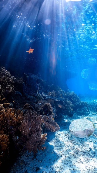 我想去海边，因为你说海是深蓝色像极了你心里的梦。