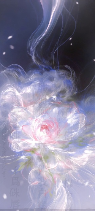  逸彩星芒花影录